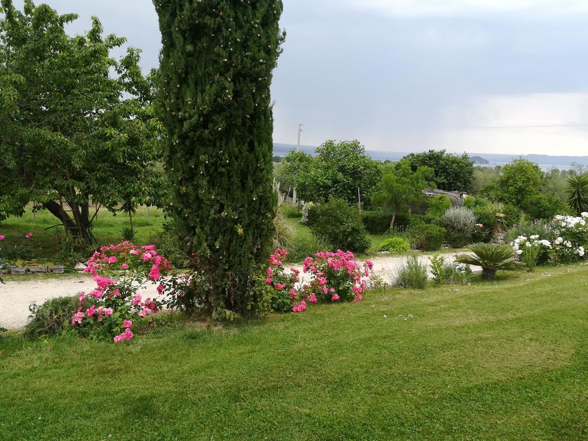 Agriturismo Santa Maria Marta Εξωτερικό φωτογραφία
